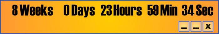 Countdown Timer