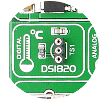 DS1820 Temp Sensor