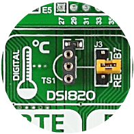 DS1820 Temp Sensor